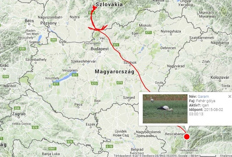 nagykáta térkép Megkezdődött a gólyavonulás | Magyar Madártani és Természetvédelmi  nagykáta térkép