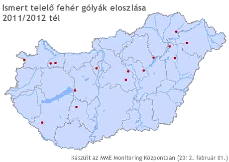 Áttelelő fehér gólyák Magyarországon térkép (MME Monitoring Központ - Nagy Károly).