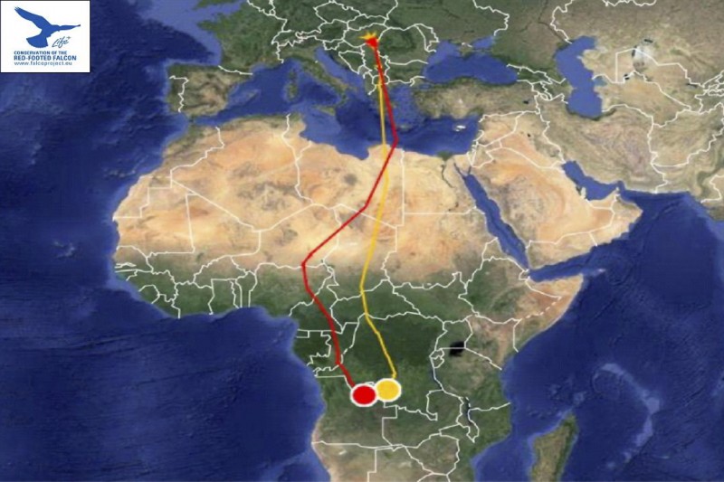 "Ági" és "Ákos" vonulási útvonala. A friss adatokért katt a képre (Forrás: satellitetracking.eu).