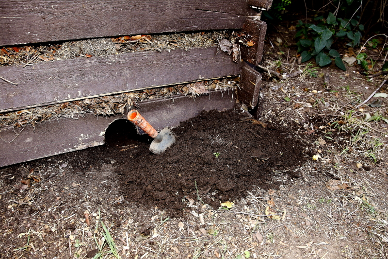 A telelőhelyet kereső sün dolgát megkönnyíthetjük, ha a komposztba lakókamrát alakítunk ki (Fotó: Orbán Zoltán).