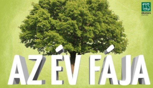 Az év fája logó (forrás: evfaja.okotars.hu) Az év fája logó (forrás: evfaja.okotars.hu)