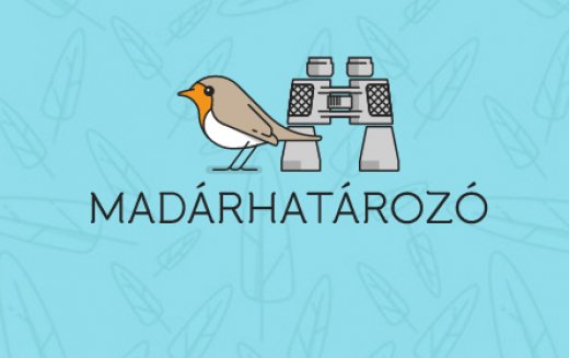 A madárhatározó ikonja A madárhatározó ikonja