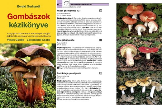 A könyv címlapja és egyik belső oldala A könyv címlapja és egyik belső oldala