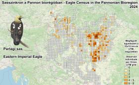 Parlagi sasok megfigyelési adatai a Pannon-régióban 2024. január 12-15. között (forrás: MME Monitoring Központ)