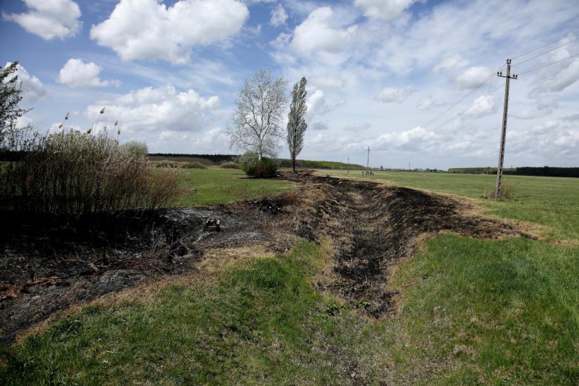 Éppen azért az ilyenkor végzett, különösen a nagy kiterjedésű bokor- és fakivágások,valamint a kísérő munkálatok, például a faanyag kihordása, minden esetben és biztosra vehetőenvédett és fokozottan védett állat- és növényfajok tömeges elhullását, sérülését okozza, továbbá az élőhelyüket is károsítja (fotók: Orbán Zoltán)