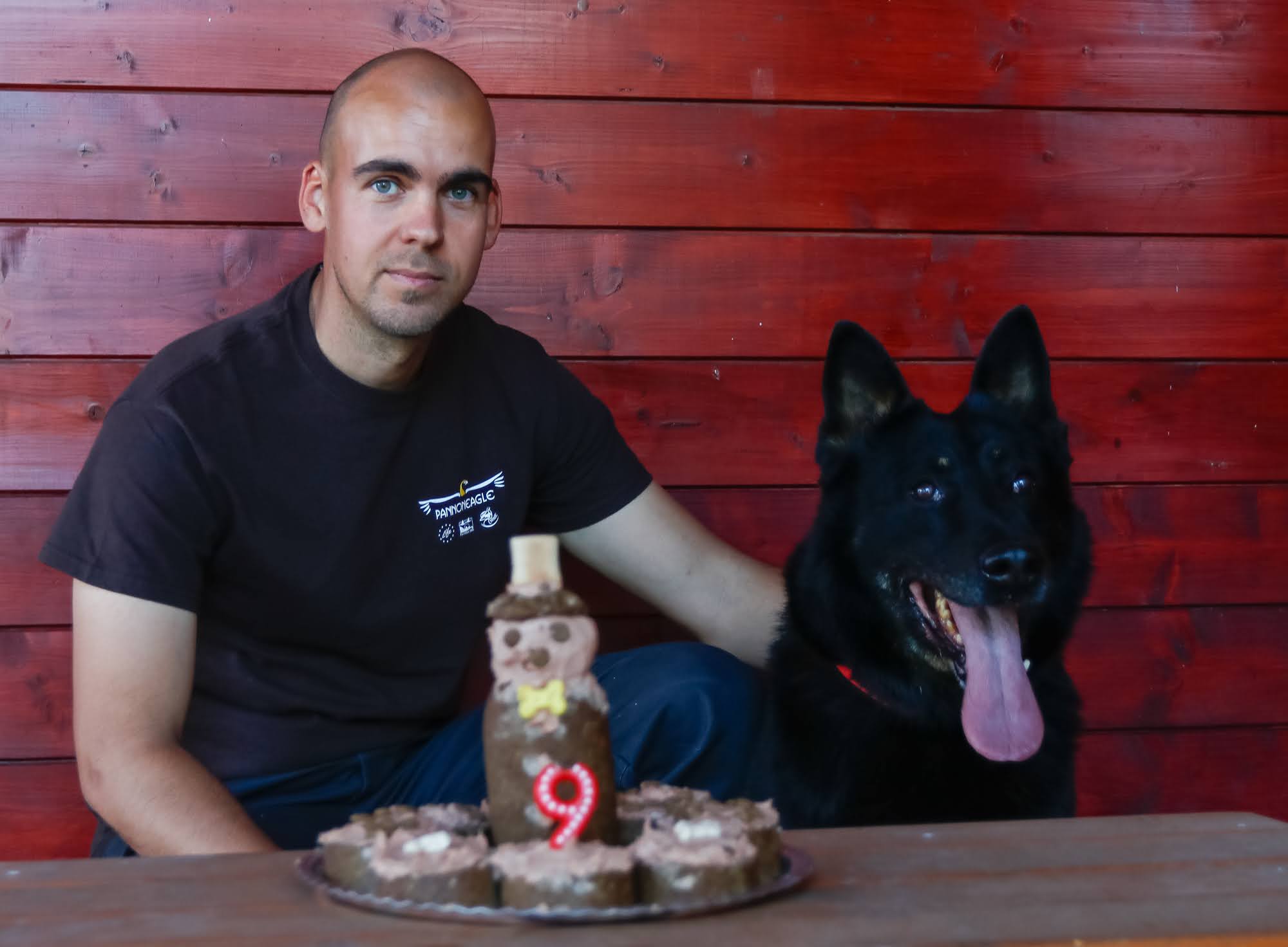 Falco torta