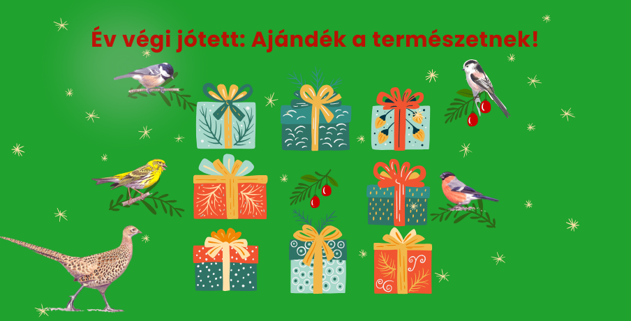 Év végi jótett