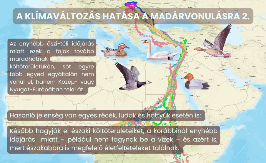 klímaváltozás és vonulás