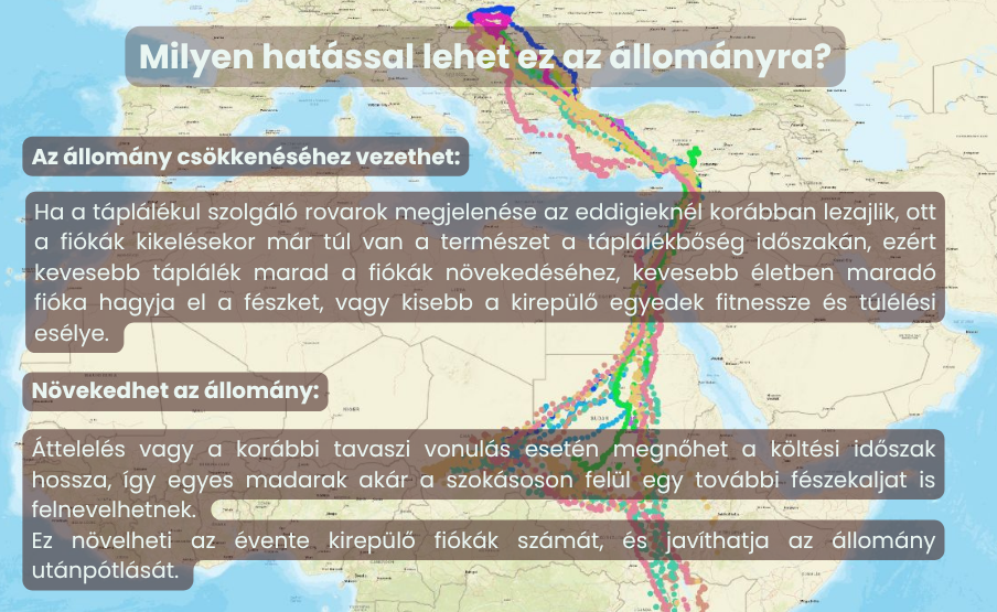 klímaváltozás és vonulás
