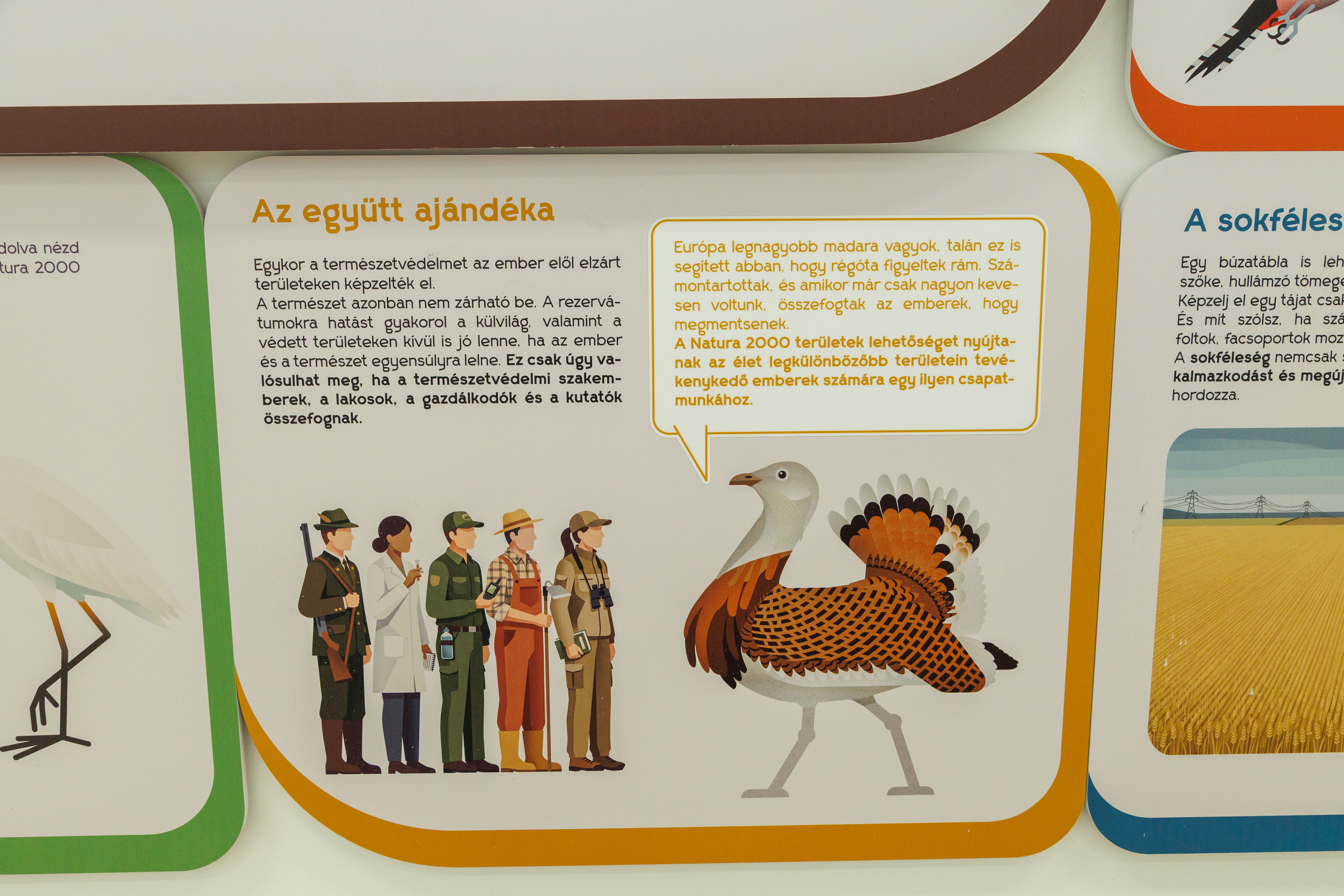 mocsaros_kiallitas