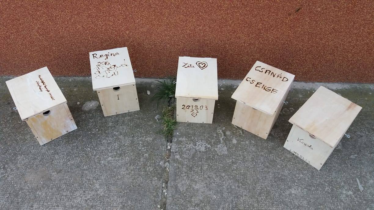 Elkészült madárodúk (Fotó: Vigné Priznicz Tünde) Elkészült madárodúk (Fotó: Vigné Priznicz Tünde)