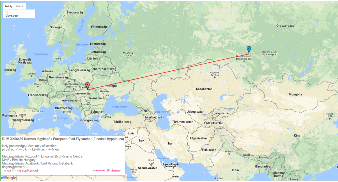 Orosz gyűrűs kormos légykapó megkerülési térképe (Madárgyűrűzési Központ)