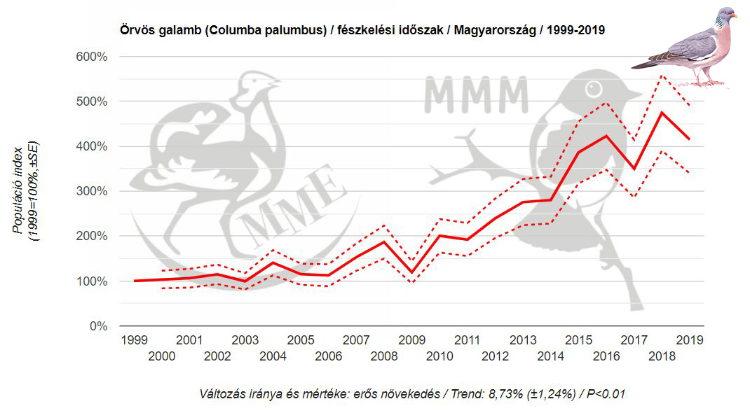 Az örvös galamb az egyik nyertes faj, hazai állományai erős növekedést mutatnak. Az MMM program kezdetén még ritkán fészkelt településeken, manapság pedig városaink és falvaink gyakori költő madara.