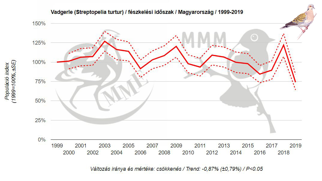 A vadgerle Nyugat-Európában régóta a csökkenő állományú fajok közé tartozik. Nálunk sokáig stabil volt, de sajnos 2019-től hazánkban is szignifikáns csökkenést mutatnak az adatok!