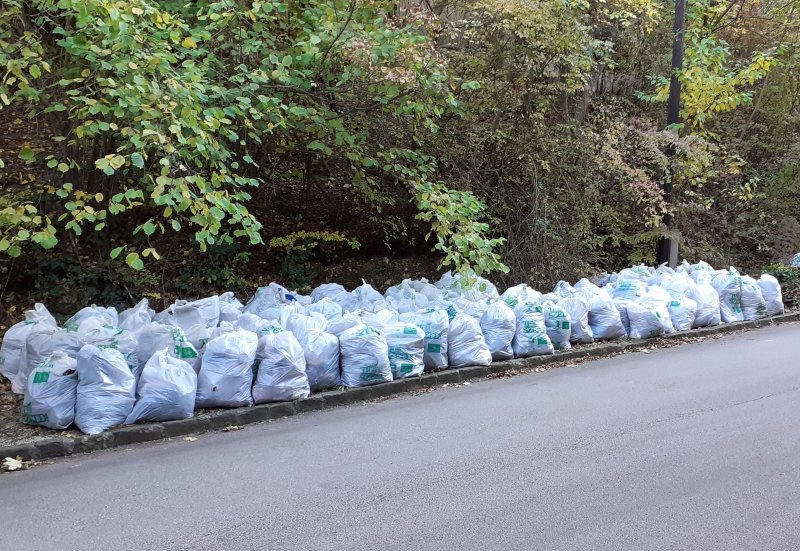 Nagy mennyiségű hulladék zsákolva (Fotó: Lendvai Csaba)
