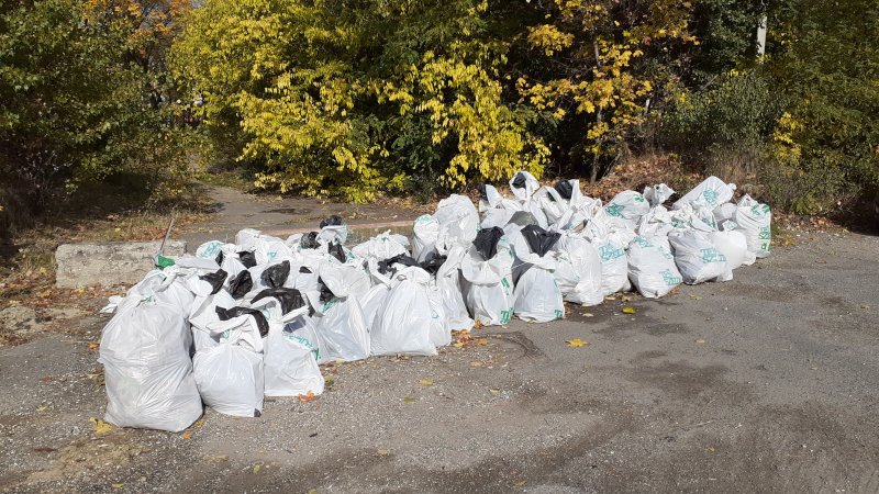 A Terebesi-erdőben is rengeteg hulladék gyűlt össze (Fotó: Bajor Zoltán)