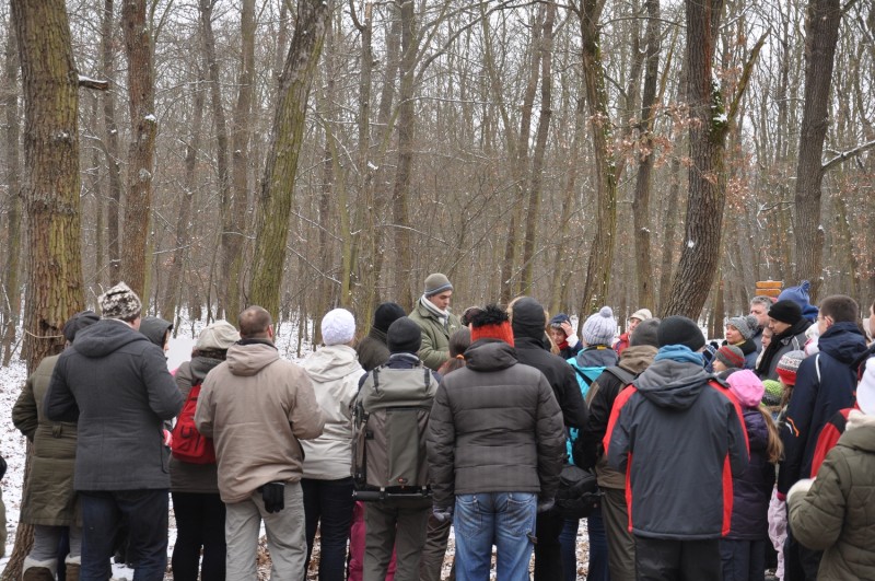 Az idei tél első havas reggelén szép számmal érkeztek érdeklődők a Farkas-erdőbe. (Fotók: Lendvai Csaba)