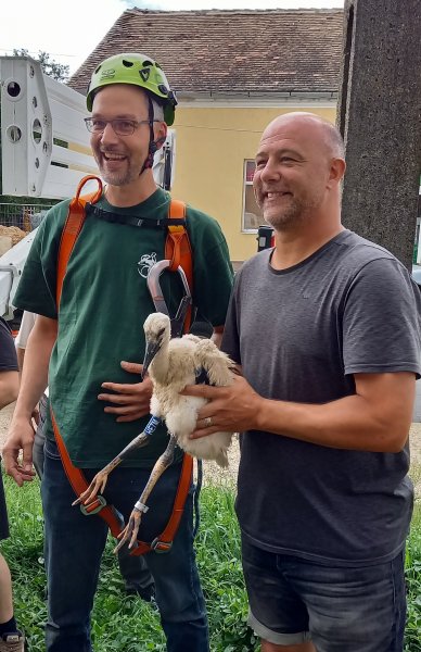 A Király Sportlétesítmény melletti fészek lakóira Király Gábor is kíváncsi volt (fotó: Koszorús Péter) A Király Sportlétesítmény melletti fészek lakóira Király Gábor is kíváncsi volt (fotó: Koszorús Péter)