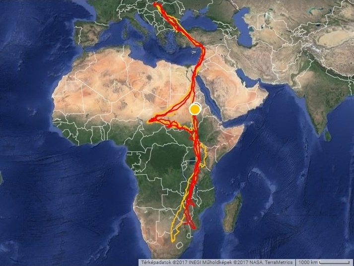 „Gyöngyvirág” (sárga) és „Hajdú” (piros) hasonló útvonalat járt be Afrikában