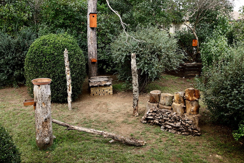"Harkálykert" ősszel / Woopecker-garden with special feeders and drinker (Fotó: Orbán Zoltán).