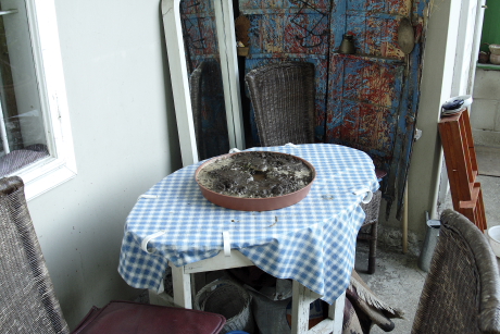 Tálcás sárgyűjtő teraszon, kisasztalon (Fotó: Orbán Zoltán).