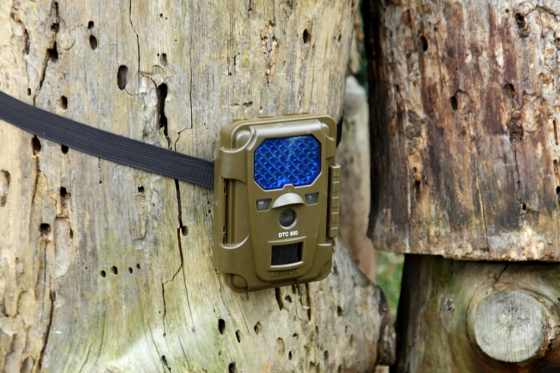 Minox DTC-650 vadkamera: felül az infrafényt kibcsátó LED-ekkel, alatta bal oldalon a szürkületi érzékelő, jobbra az aktivációs kék LED, középen kamera, alul pedig a mozgásérzékelő látható (Fotó: Orbán Zoltán).
