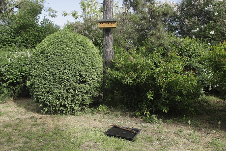 Nyári madárbarát kert itatóval (Fotó: Orbán Zoltán).