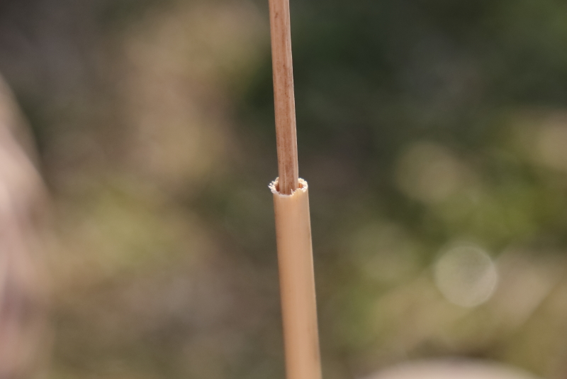 A vékonyabbaké a hasított bambusznádszállal történt (Fotó: Orbán Zoltán)