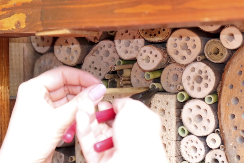 A nádszál-méhecskehotelek behelyezése tényleg szerelésjellegű volt a csőrös fogóval, mert csak így volt biztosítható, hogy a szomszédos méhecskehotelek ne tolódjanak be (Fotó: Orbán Zoltán)