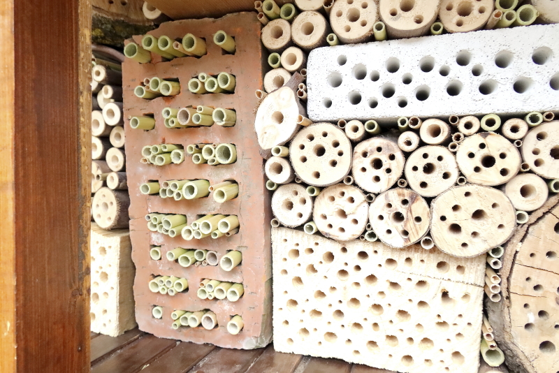 A technikai értelemben elkészült szekrényes méhecskehotel (Fotó: Orbán Zoltán)