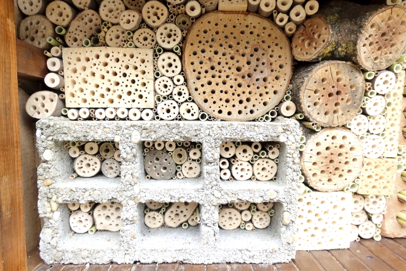 A technikai értelemben elkészült szekrényes méhecskehotel (Fotó: Orbán Zoltán)