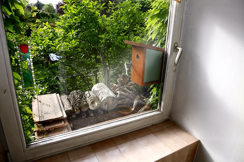 Ablakgyíkvár üveg oldalú ablakodúval együtt alkalmazva (Fotó: Orbán Zoltán).
