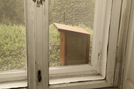 Üveg oldalfalú ablakodú szúnyoghálóra kihelyezve (Fotó: Orbán Zoltán).