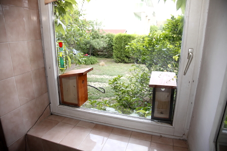 Üveg hát- és betekintőoldalú ablakodúk felszerelve, takarás nélkül (Fotó: Orbán Zoltán). 