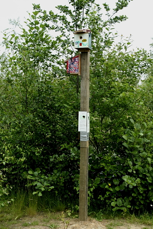 B típusú madárodúk mezei verebek megtelepítésére odútartó oszlopra kihelyezve Angliában (Fotó: Orbán Zoltán).