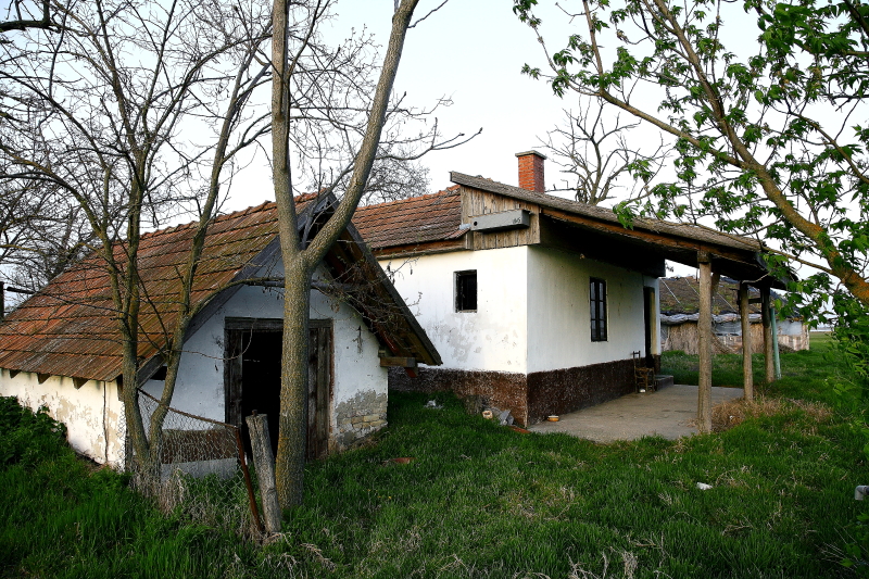 Fektetett hasáb alakú kuvik költőláda épületre kihelyezve (Fotó: Orbán Zoltán)