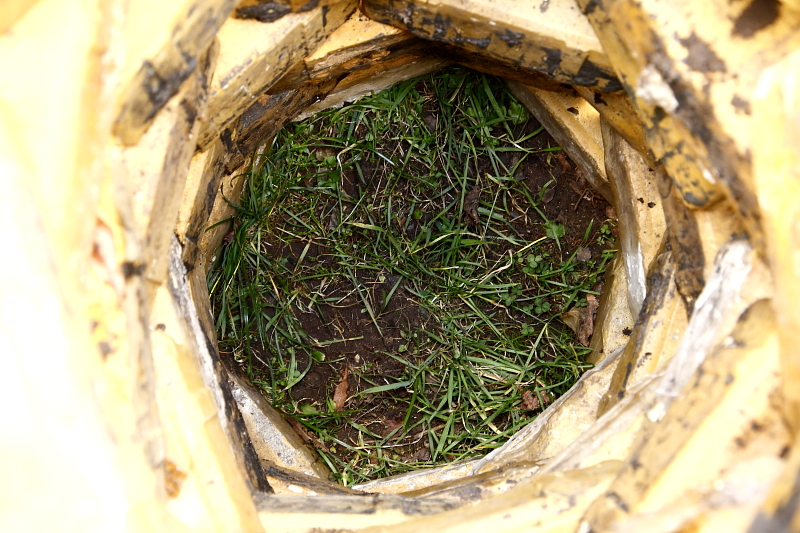 A fészkelőhely alja maga a puszta talaj, a tojó madár fajtól függően ebbe kapar egy sekély fészekmélyedést a tojások számára vagy hord fészekanyagot (Fotó: Orbán Zoltán).