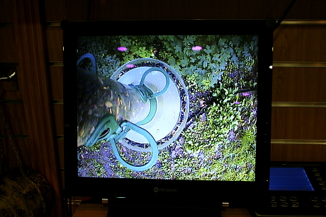Etető zártláncú videókamera képe LCD TV-n, Angliában (Fotó: Orbán Zoltán).