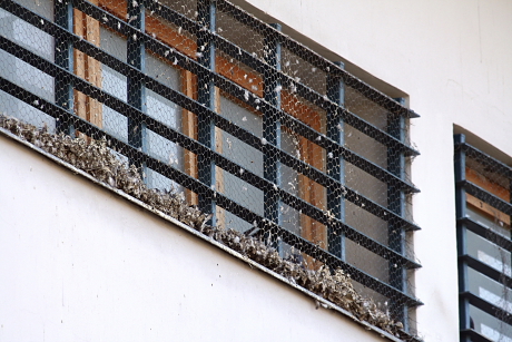 Rosszul kihelyezett parlagiglamb-mentesítő drótháló a dombóvári rendőrségi fogda ablakrácsán (Fotó: Orbán Zoltán).