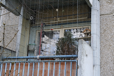 Erkélyen működő madáretető és -itató parlagi galambok ellen lehálózva (Fotó: Orbán Zoltán)