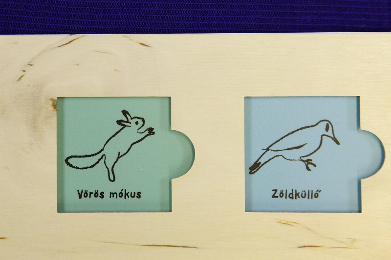 Ugyan ennek a két fajkártyának a helye használat közben (Fotó: Orbán Zoltán)