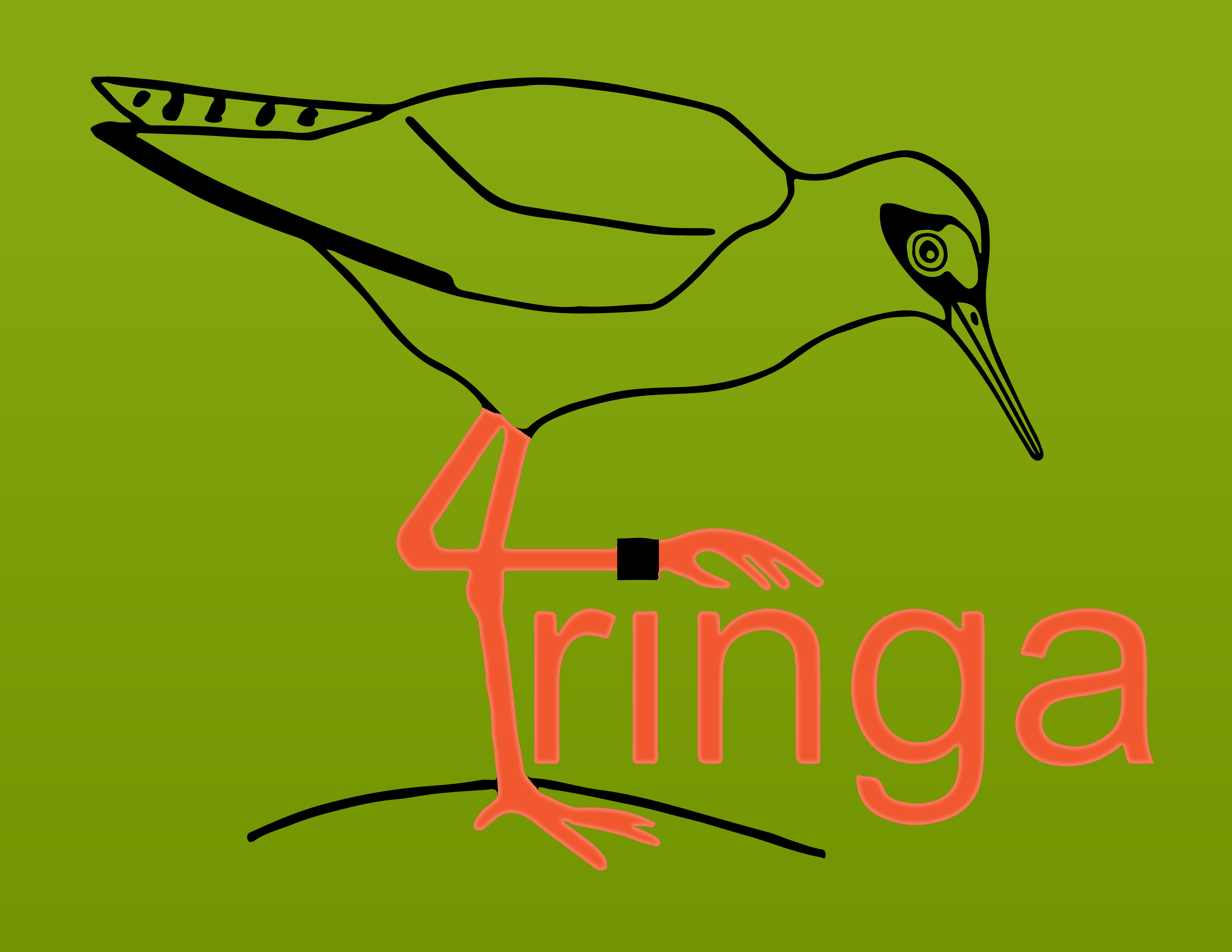 Tringa (T-ring application) Madárgyűrűzési Adatkezelő Rendszer