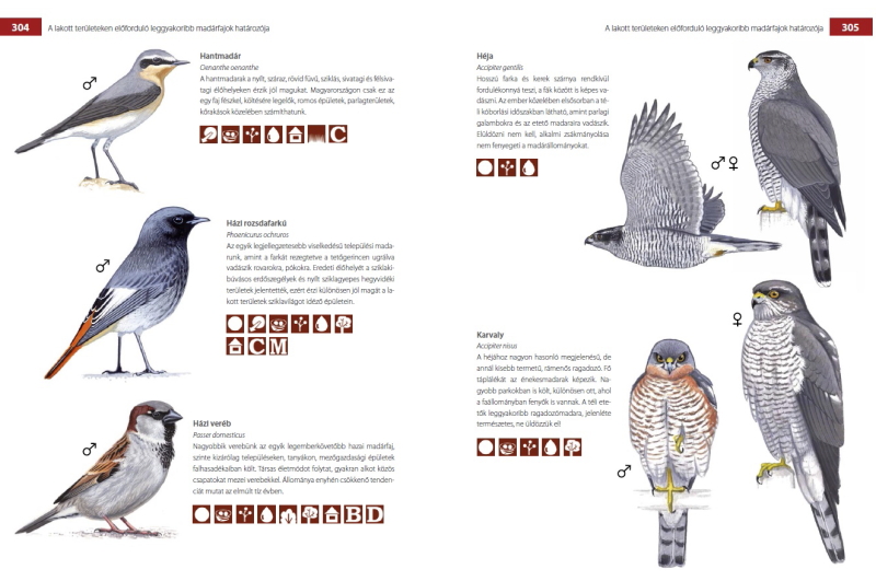 Orbán Zoltán - Madárbarátok nagykönyve (Cser Kiadó, 2019) 74 fajos madárhatározó Zsoldos Márton grafikáiával