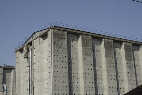 A mega molnárfecske telepnek helyet adó beton silók Tiszavasváriban (Fotó: Orbán Zoltán).