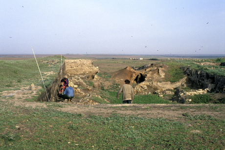 Partifecske telep a Fekete-tenger partvidékén, régészti ásatás gödrében (Fotó: Orbán Zoltán).
