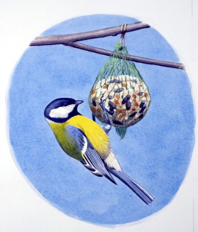 A 2011-es év madara a széncinege (Grafika: Zsoldos Márton).