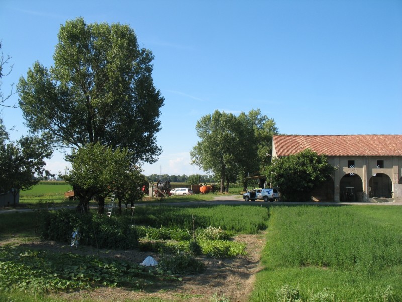 Farm Olaszországban  (Fotó: Solt Szabolcs, MME).