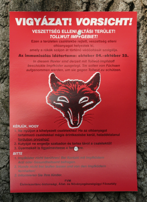 Rókák immunizálásáról fára kihelyezett plakát (Fotó: Orbán Zoltán).