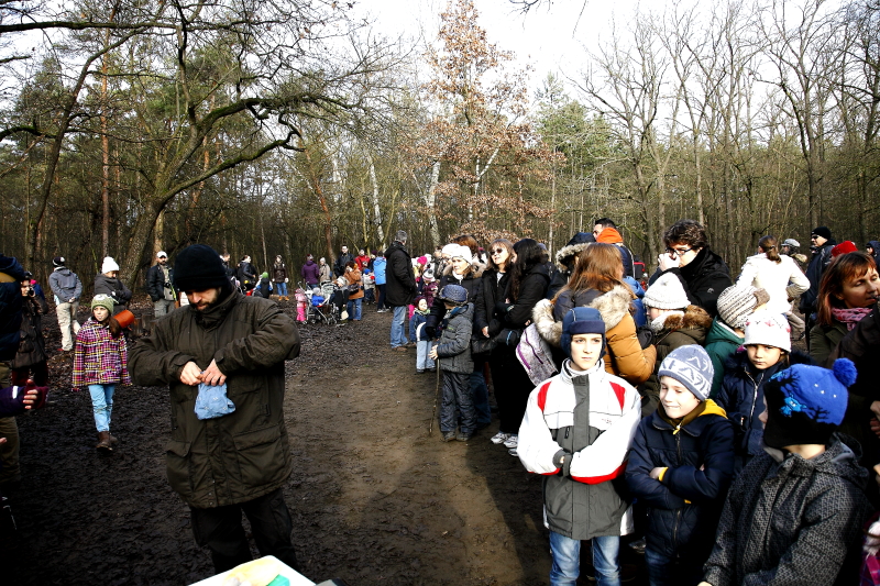 Bemutató madárgyűrűzés a fővárosi Farkas-erdőben 2015. december 29-én (Fotó: Orbán Zoltán).