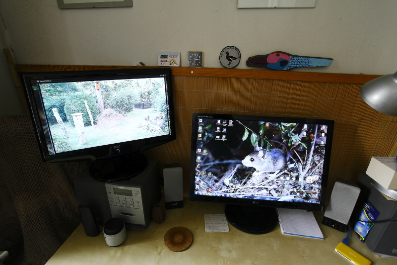 Madárbarát kertre néző PC-kamera képe második monitoron megjelenítve (Fotó: Orbán Zoltán).